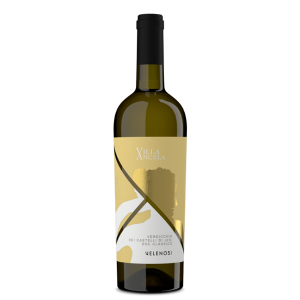 Verdicchio